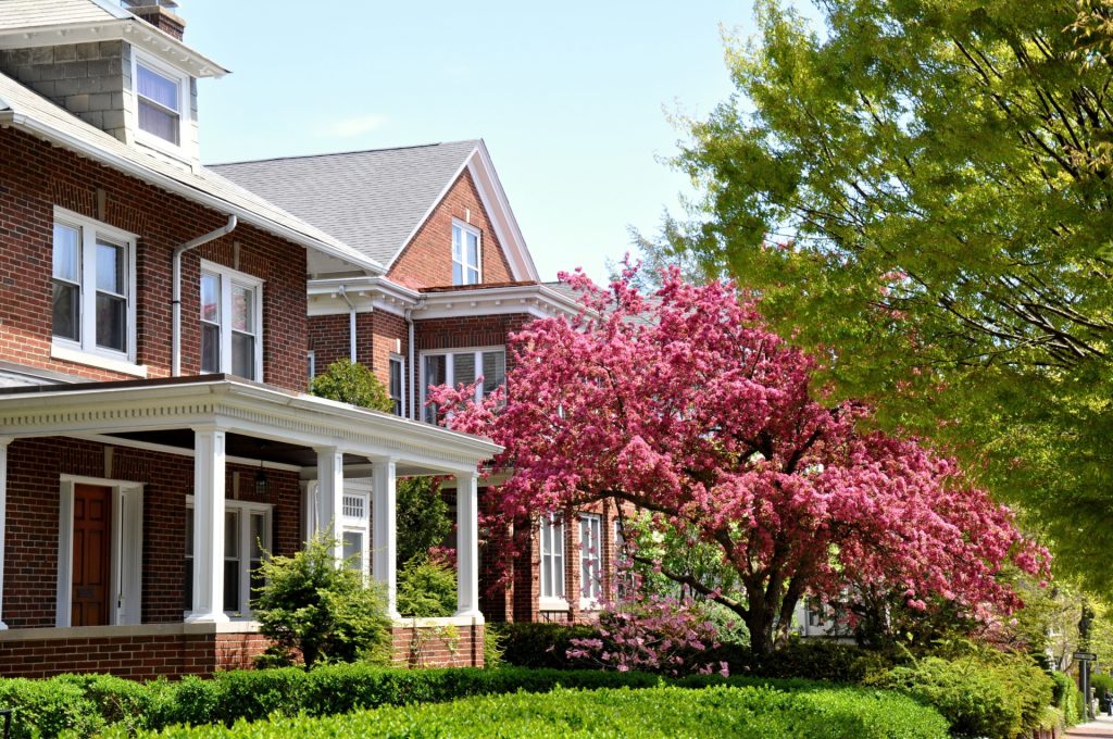 Masonry and Chimney Repair | Hibernia Masonry